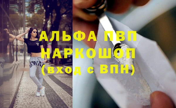 прущие грибы Навашино
