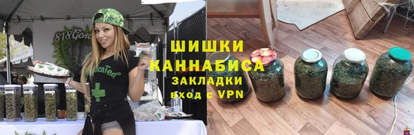 прущие грибы Навашино