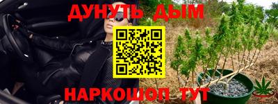 ALPHA PVP Кингисепп