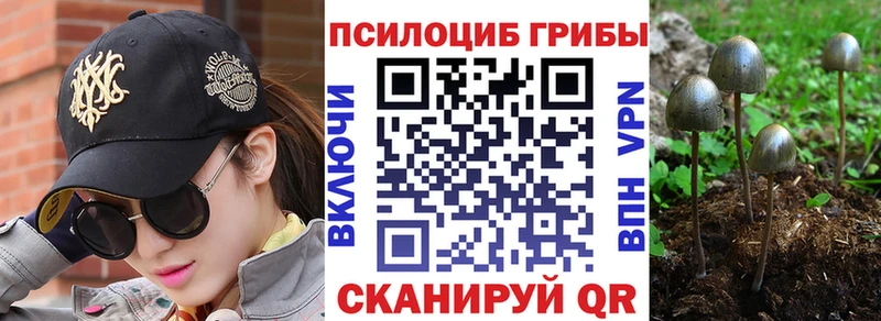 маркетплейс клад Кстово Псилоцибиновые грибы Cubensis